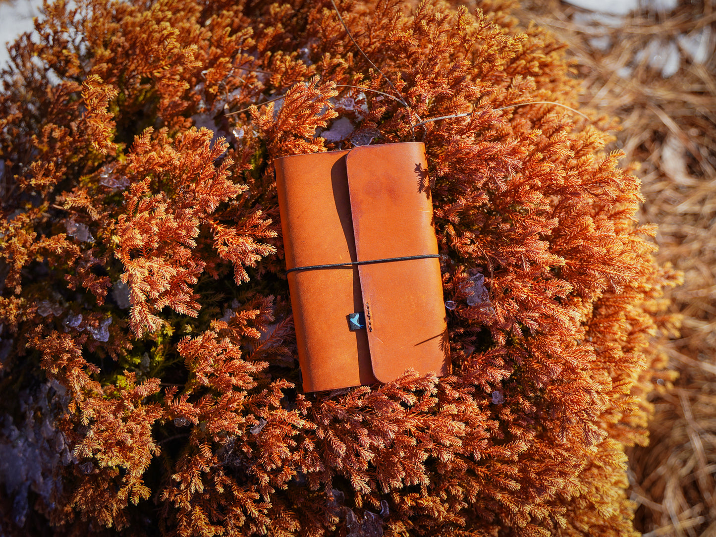 Milwaukee Leather Travel Journal - Natural