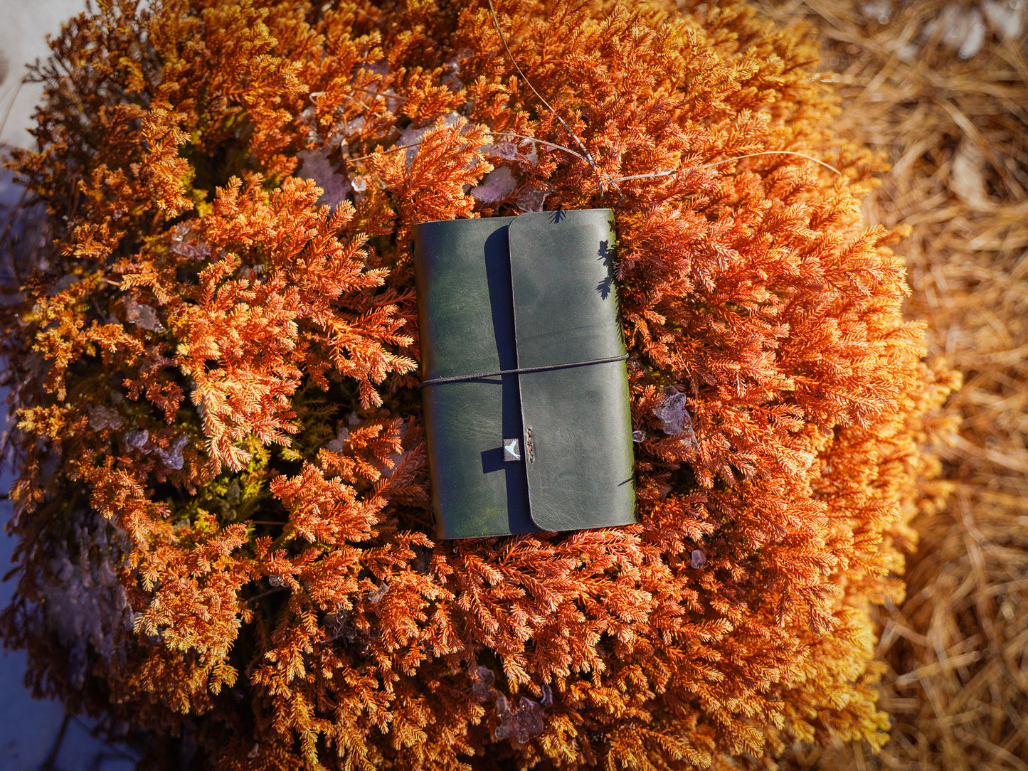 Milwaukee Leather Travel Journal - Olive