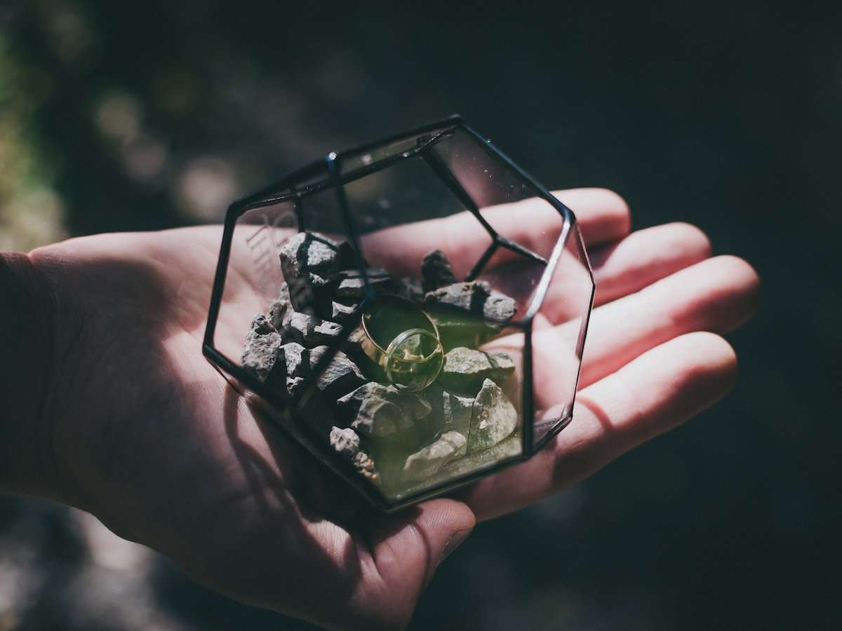 Geometric Terrarium Dodecahedron Mini Glass Terrarium - olpr.